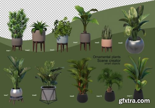 3d rendering of various types of plants