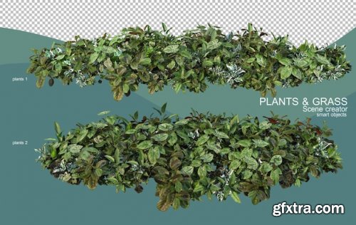 3d rendering of various plant arrangements