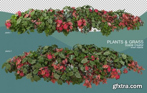 3d rendering of various plant arrangements