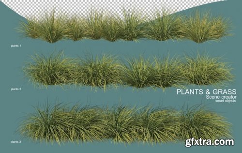 3d rendering of various plant arrangements