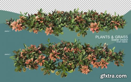 3d rendering of various plant arrangements