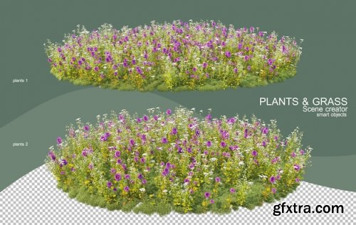 3d rendering various types of bush