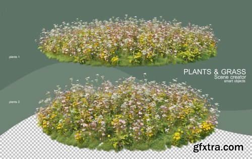 3d rendering various types of bush