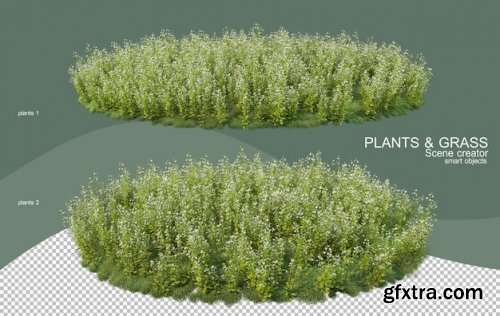 3d rendering various types of bush