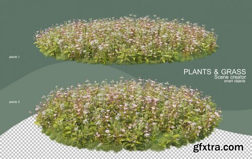 3d rendering various types of bush