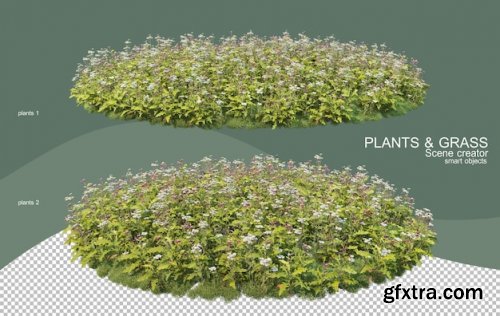 3d rendering various types of bush