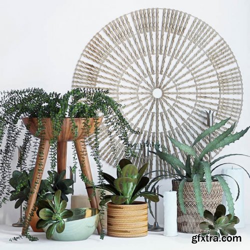 Plant decor set