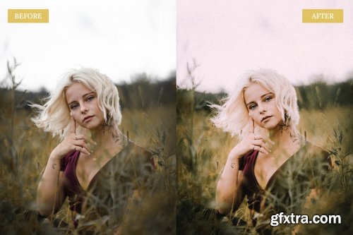 CreativeMarket - Vintage Film Lightroom Presets 6762646