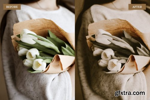 CreativeMarket - Vintage Brown Lightroom Presets 6762408