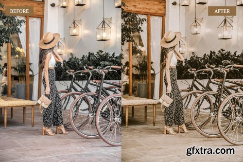 CreativeMarket - Vintage Brown Lightroom Presets 6762408