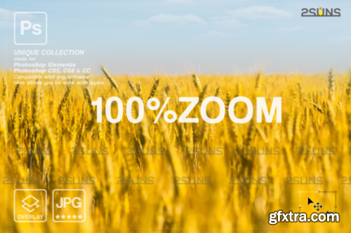 Ukraine Field Background Photoshop