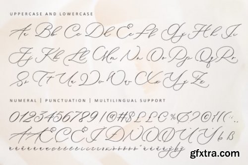  Pretty Rose Font