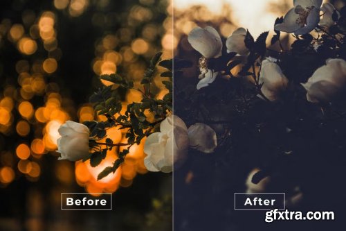 Airy Vintage LUTs and Lightroom Presets