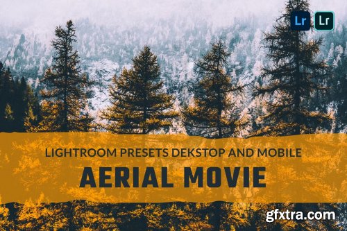 Aerial Movie Lightroom Presets