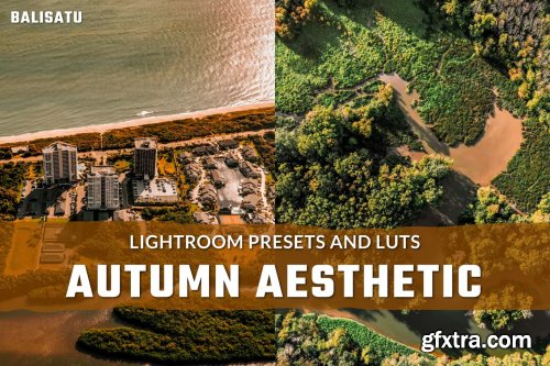 Autumn Aesthetic LUTs and Lightroom Presets