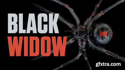  Black Widow - Model, Texture, Rig and Animate a Spider in Cinema 4D