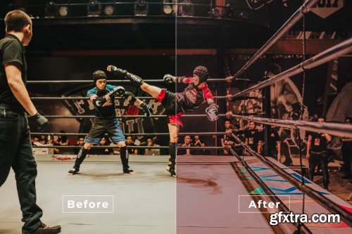 Action Fight LUTs and Lightroom Presets