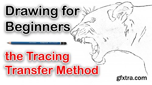  Transfer your reference photo for drawing & painting - The Tracing Method