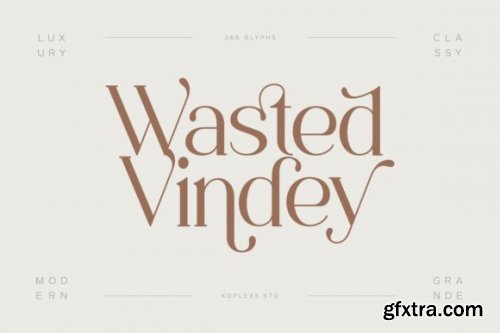  Wasted Vindey Font