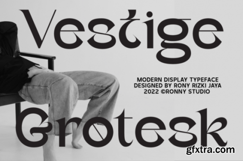  Vestige Grotesk Font