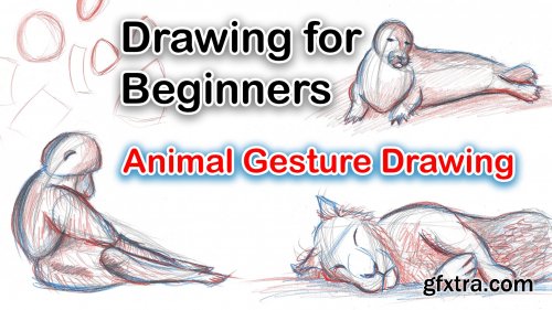  Drawing for Beginners: Learn to draw animals and capture the gesture