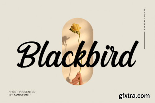  Blackbird Font