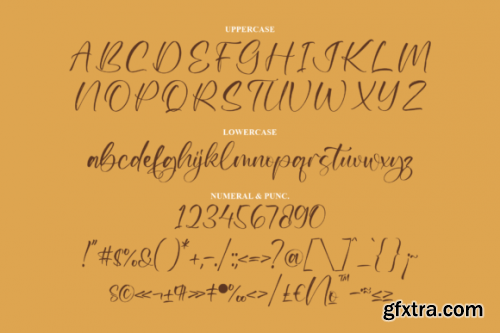  Kalgeron Brushy Font