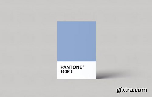 Pantone Card Mockups