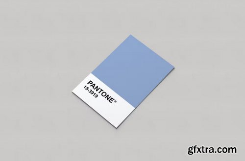 Pantone Card Mockups