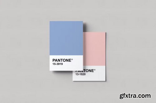 Pantone Card Mockups