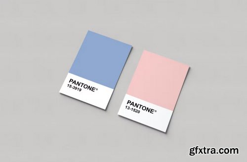 Pantone Card Mockups