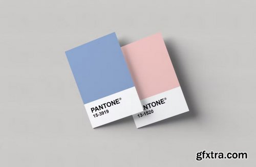 Pantone Card Mockups