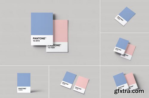 Pantone Card Mockups