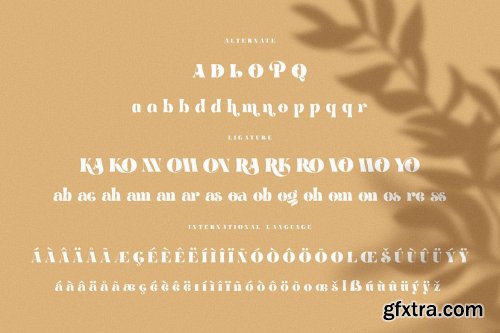 Brenham - Trendy Serif Font