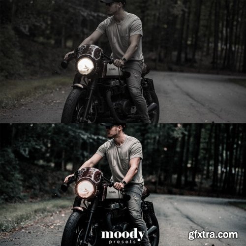 Moody presets bundle pack 60 presets