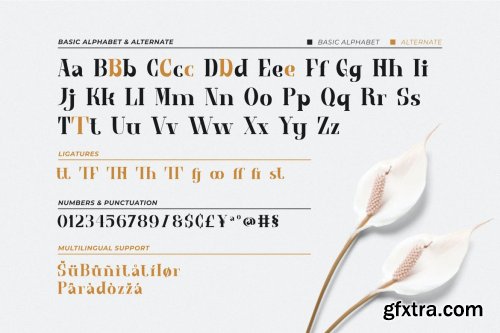 Serif Font - Bestay