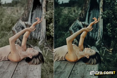 ARTA - Relax Day Presets for Lightroom