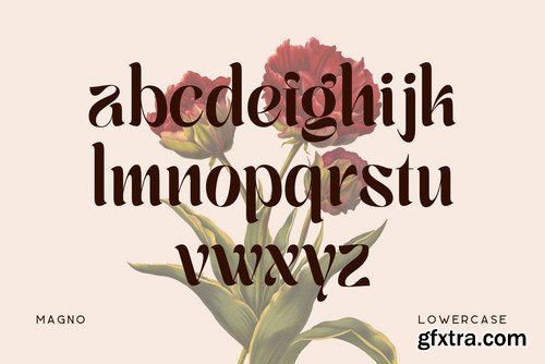 Magno - Vintage Font