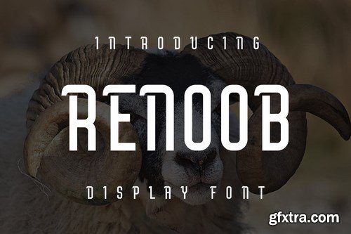 Renoob Font