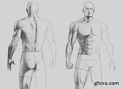 Figure Drawing Made Easy - Basic Body Proportions