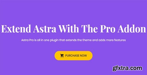 Astra Pro WordPress Plugin v3.6.9