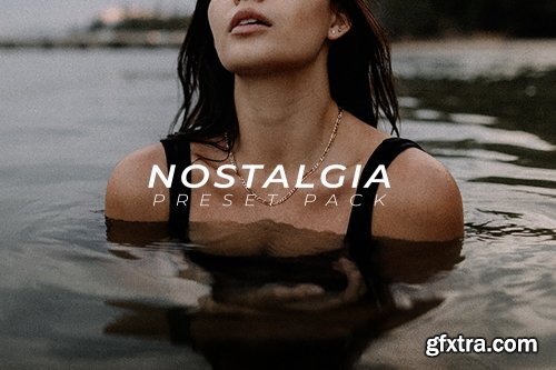 Mitch Lally - The Nostalgia Preset Pack