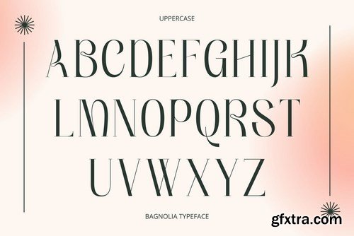 Bagnolia - Vintage Font