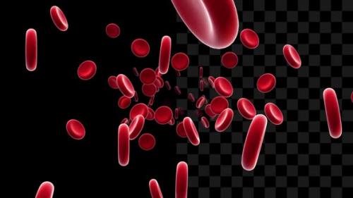 Videohive - Blood Cell On Alpha - 28536004 - 28536004