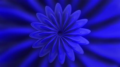 Videohive - Hypnotic flower bud silhouette spinning endlessly - 38023373 - 38023373