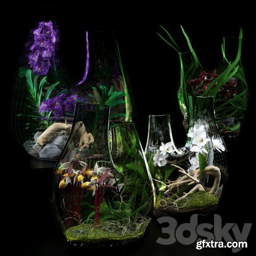 Terrarium vases with Orchids