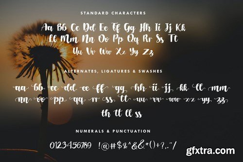 Dandelion Font