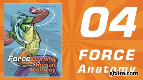 FORCE Drawing Courses - 04 FORCE Human Anatomy by Michael Mattesi