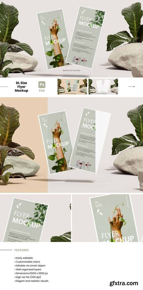 DL Flyer with Plants - Realistic Mockup 6BHQDVM