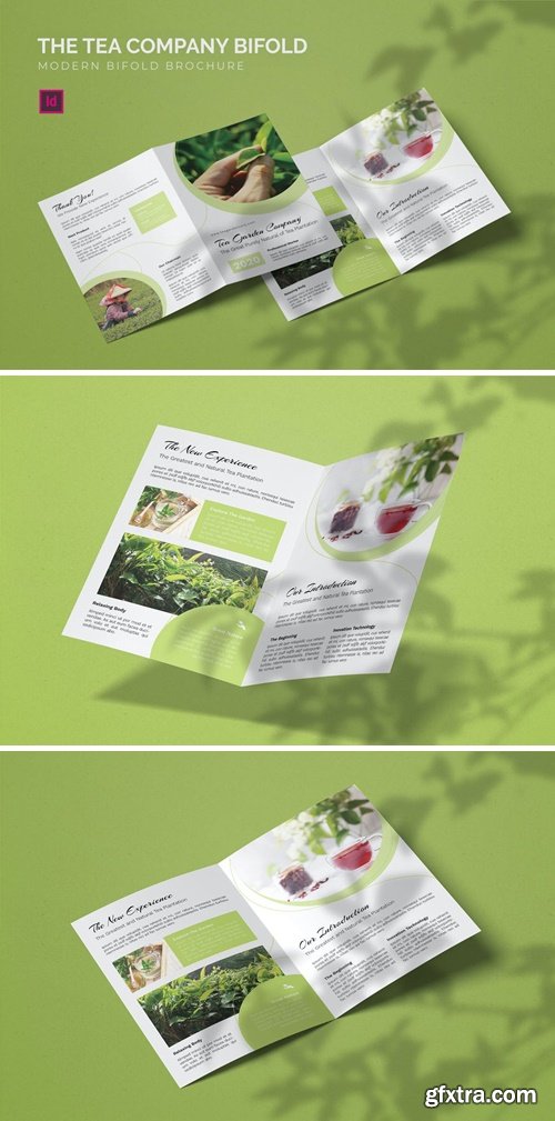 Tea Company - Bifold Brochure 3Q44MSJ